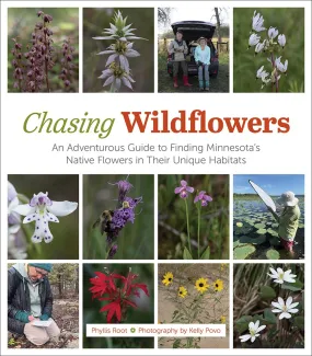 Chasing Wildflowers