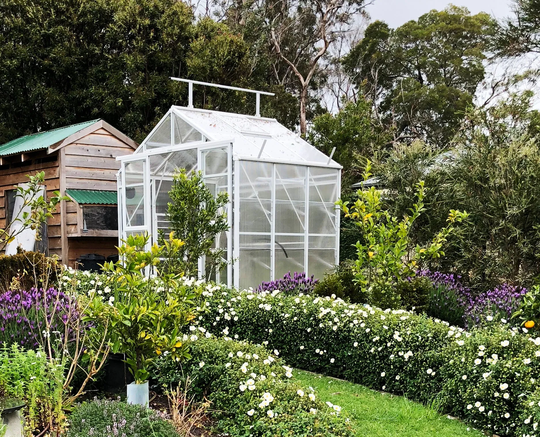 Imperial Glasshouse 1940 (1.9m x 2.6m)