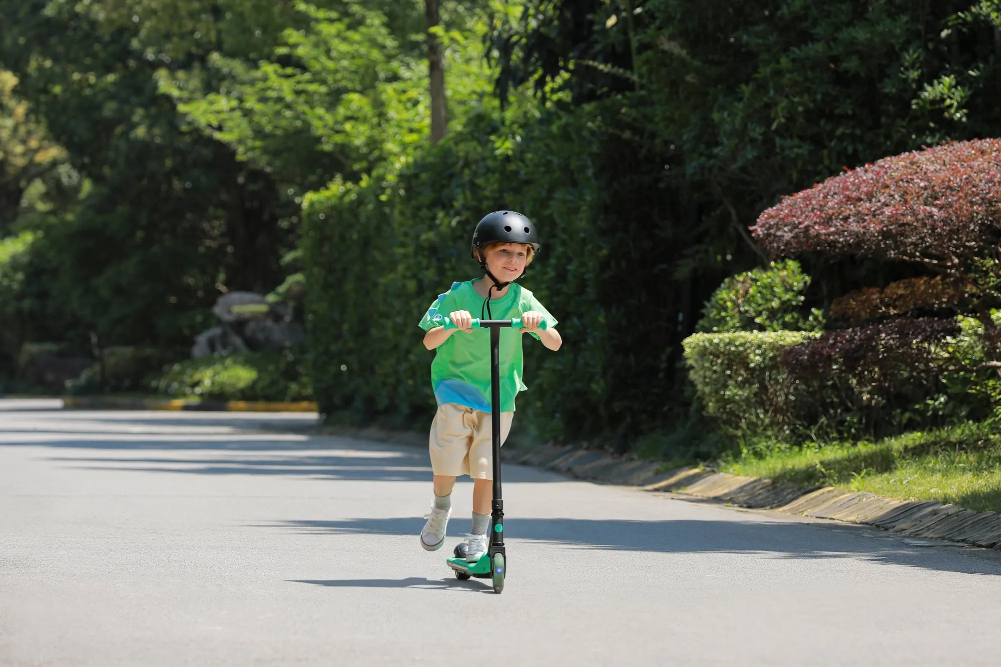 Segway-Ninebot Zing A-Series A6 eKickScooter