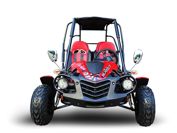 TrailMaster Blazer 4-200X Off Road Adult Buggy Go kart four seater. High Back Seats with race style harness