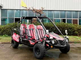 Trailmaster Ultra Blazer 4-200EX EFI Buggy Go kart, Fuel Injected 4 seater, Great Trail runner, Family Fun