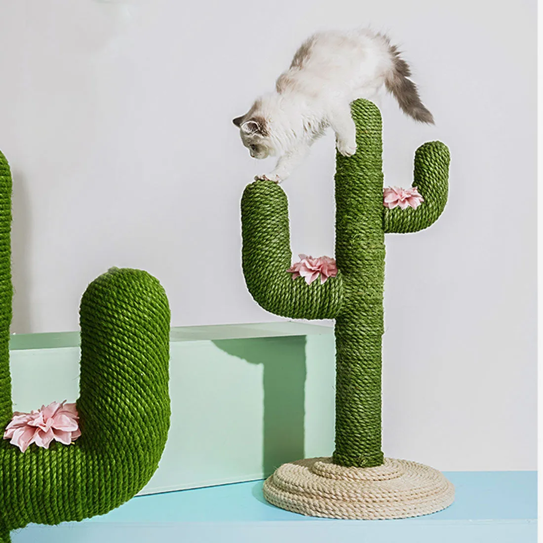 Vetreska Cat Kitten Oasis Cactus Scratcher Tree Cat Climbing Scratching Board Gym Small